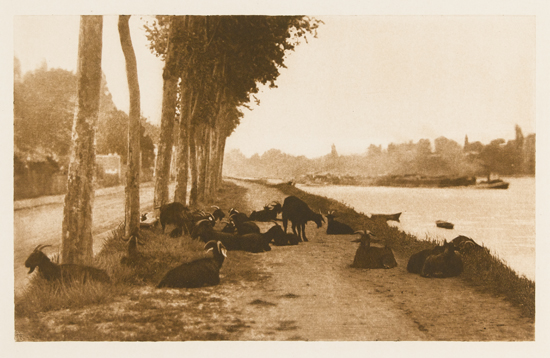 Appraisal: STIEGLITZ ALFRED - Goats Along the Seine Sepia-toned photogravure x