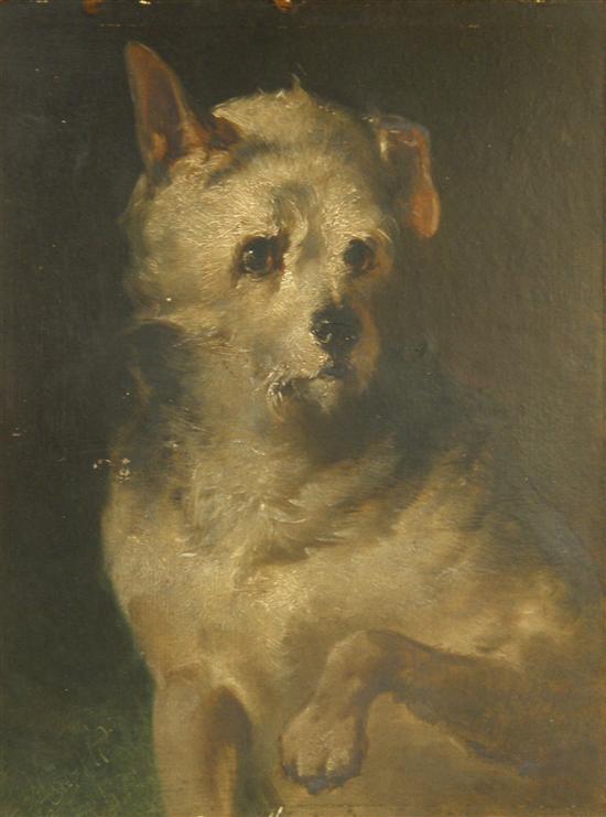 Appraisal: th century English School portrait of a white dog oil