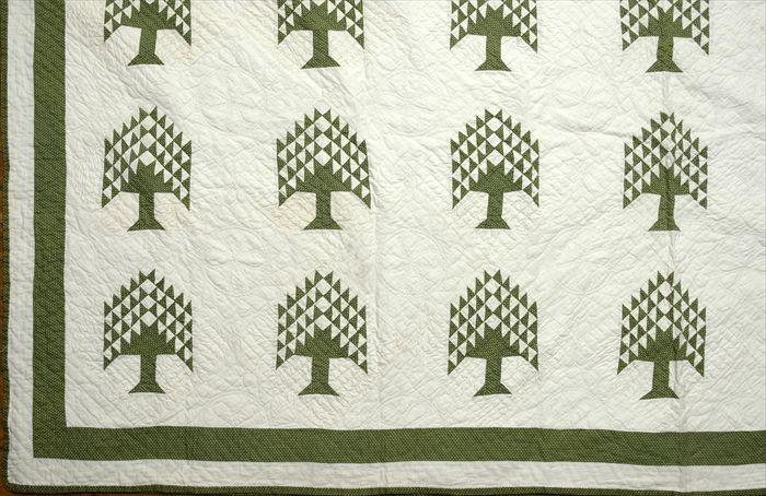 Appraisal: American Cotton Pieced 'Pine Tree' Pattern Quilt x in