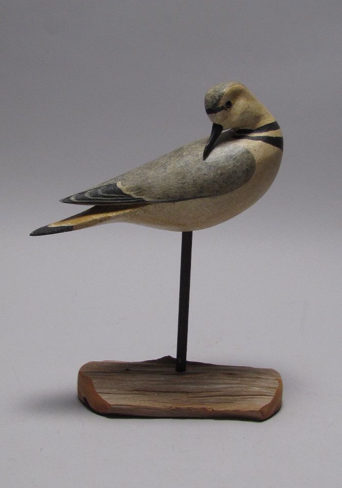 Appraisal: KILLDEER DECOY By Harry V Shourds II In preening form