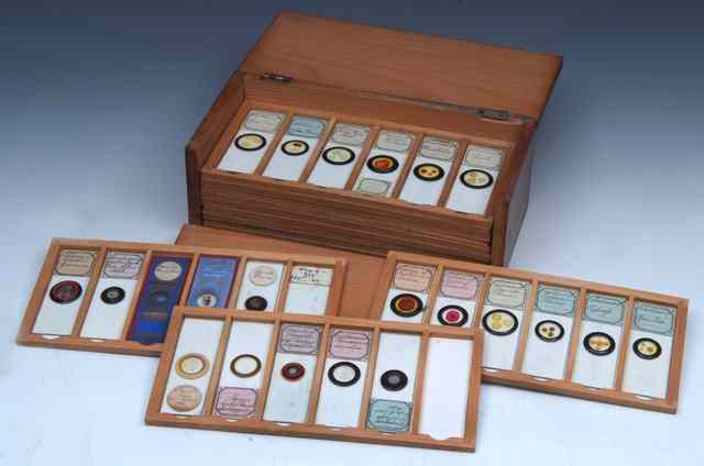 Appraisal: A GROUP OF TH CENTURY MICROSCOPE SLIDES to include sounding