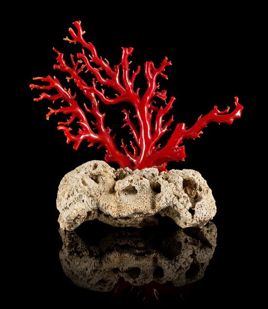 Appraisal: Sale Lot A Red Coral Carving of naturalistic form with