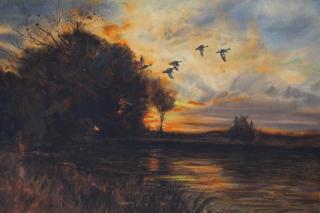 Appraisal: Scott Zuckerman born watercolor of mallards in flight Watercolor Signed