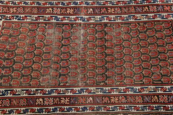 Appraisal: RUSSIAN CAUCASIAN RUG - ft in x ft in