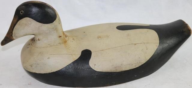 Appraisal: EIDER DRAKE NORTHEAST MAINE OR NOVA SCOTIA WITHORIGINAL PAINT EARLY