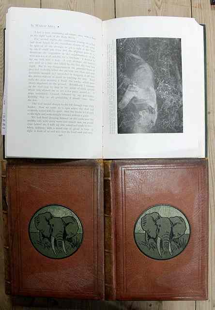 Appraisal: Schillings C G With Flashlight and Rifle two volumes London