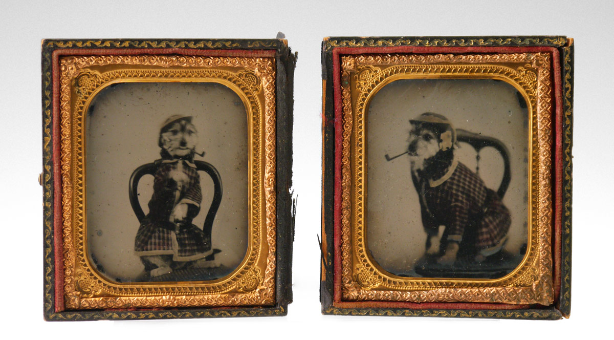 Appraisal: PAIR TH CENTURY DOG SMOKING AMBROTYPES Sixth plate size of