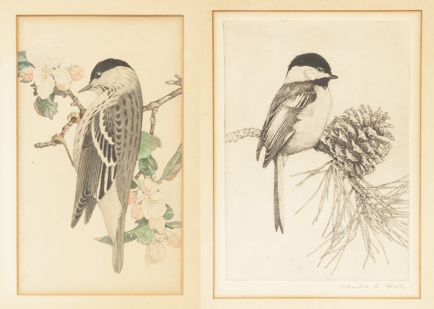 Appraisal: Charles Emile Heil MA - Watercolor etching of birds Watercolor