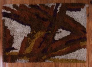 Appraisal: Shag Rug Mid Having desert hues and contemporary design measures