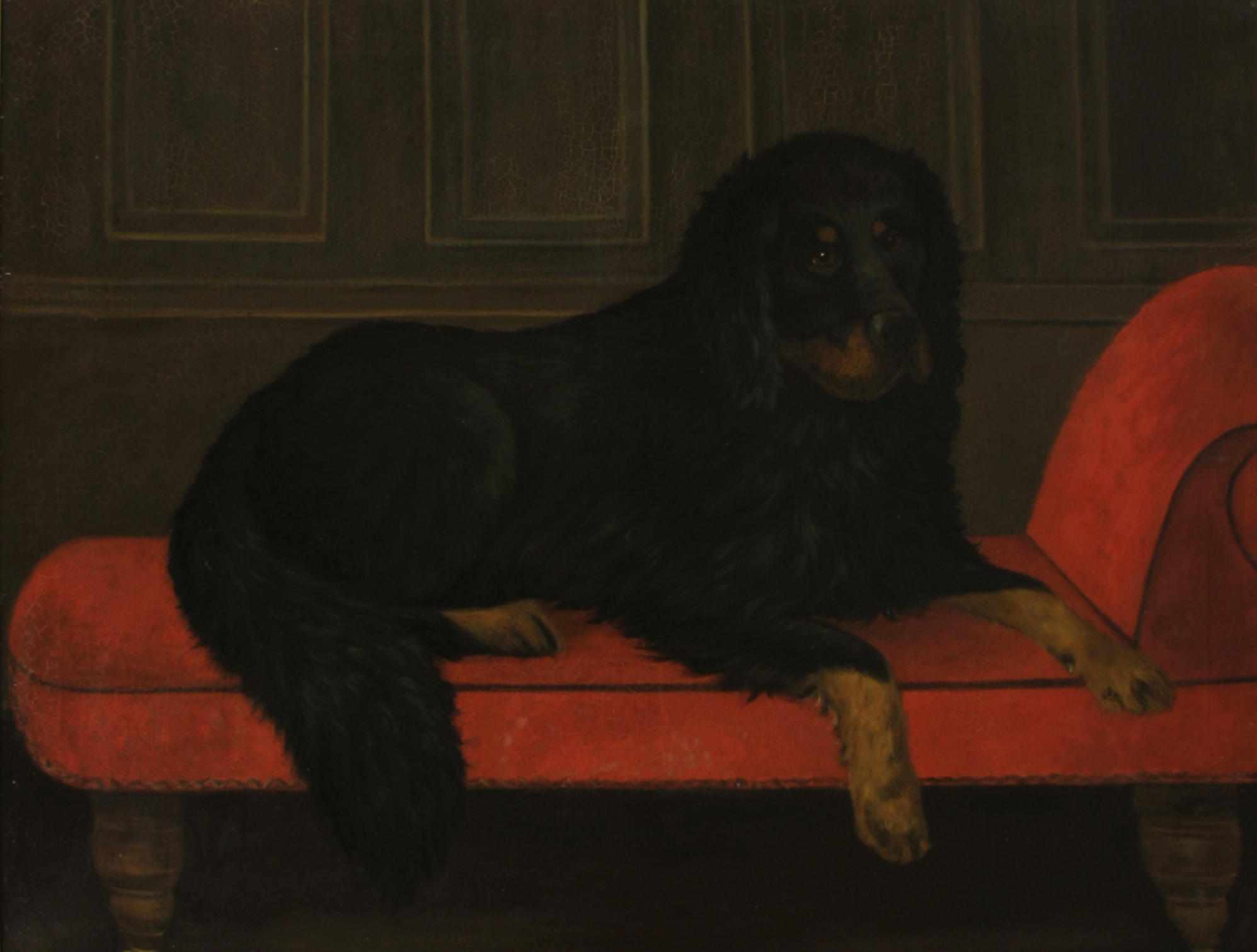 Appraisal: Continental School A portrait of a Bernese Mountain Dog oil