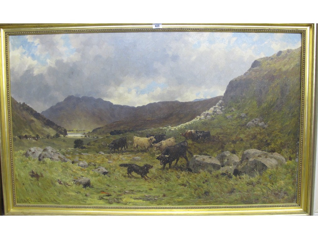 Appraisal: JOHN BLAKE MACDONALD RSA Oil on canvas 'Dog worrying cattle