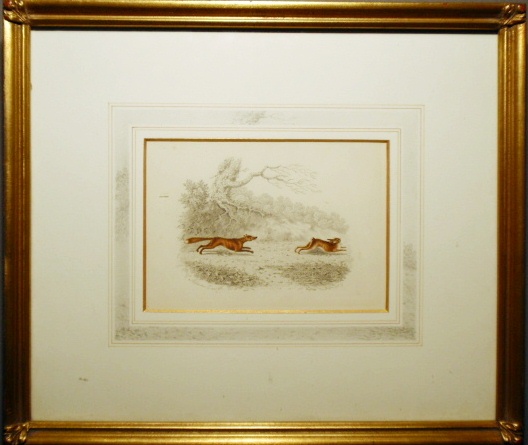 Appraisal: - Framed and matted watercolor painting of a fox chasing