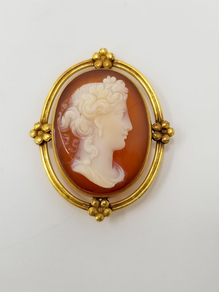 Appraisal: K Gold Resin Cameo Pin K Gold Resin Cameo Pin