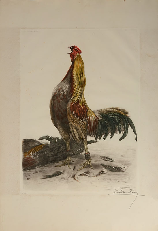 Appraisal: DANCHIN Leon French - ''Rooster Crowing'' Color Etching '' x