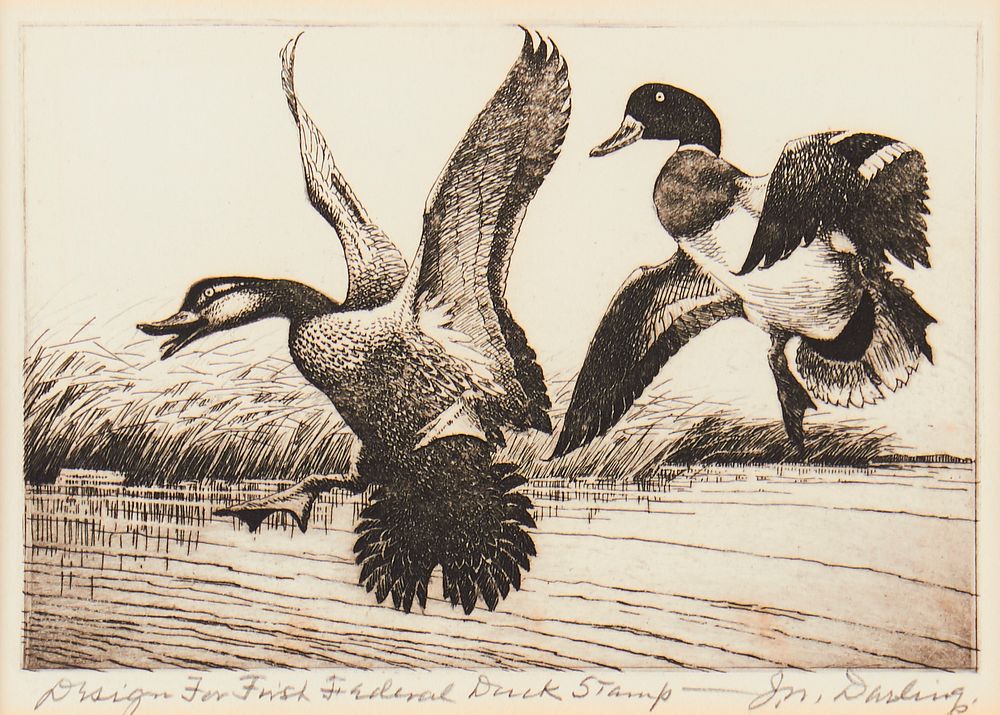 Appraisal: Jay Norwood Darling First Federal Duck Stamp Etching Jay Norwood