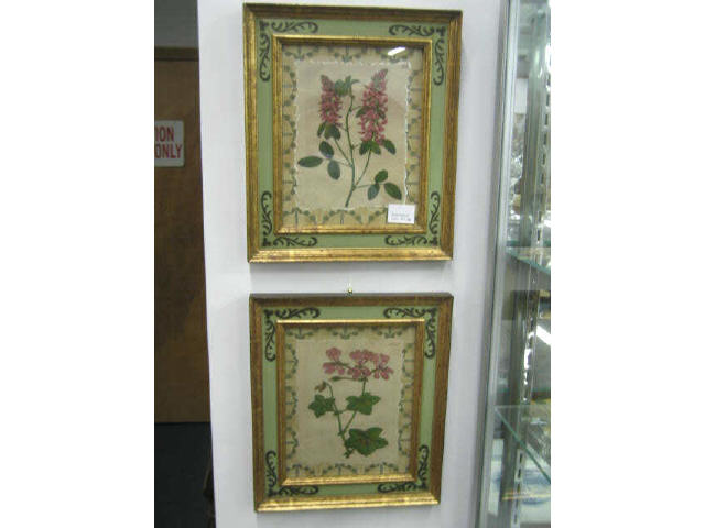 Appraisal: Pair of Decorative Botanical Prints