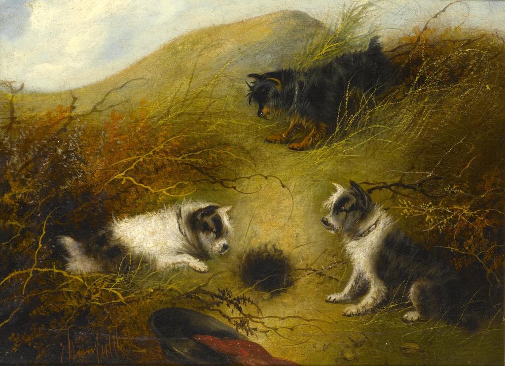 Appraisal: EDWARD ARMFIELD - THREE TERRIERS ON A WARREN x cm