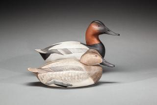 Appraisal: Two Canvasbacks James Corb Reed - Chincoteague VA c A