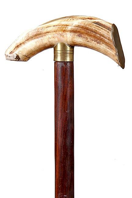 Appraisal: Hippo Tooth Cane th Century- A large tooth with a