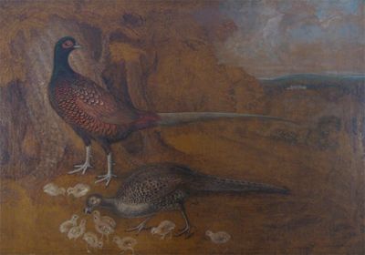 Appraisal: English School th Century Pheasant and young in a landscape