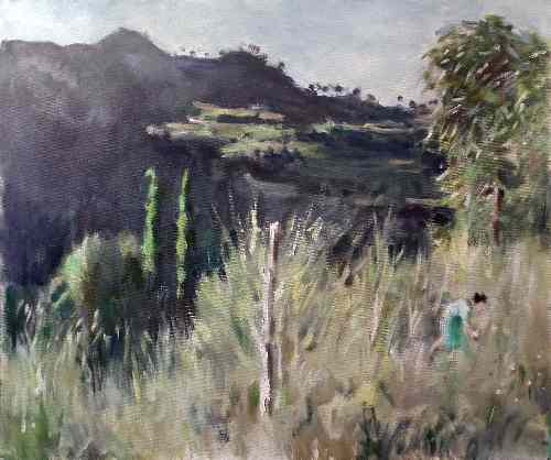 Appraisal: Colin Colahan - - Oil painting - Landscape with hills