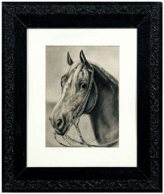 Appraisal: French School drawing study of a horse bears signature Rosa