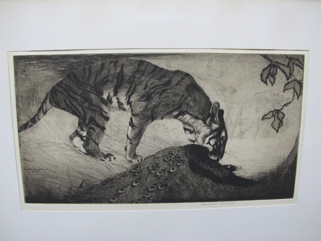 Appraisal: WARWICK REYNOLDS Two drypoints 'Tiger eating a Peacock' and 'The