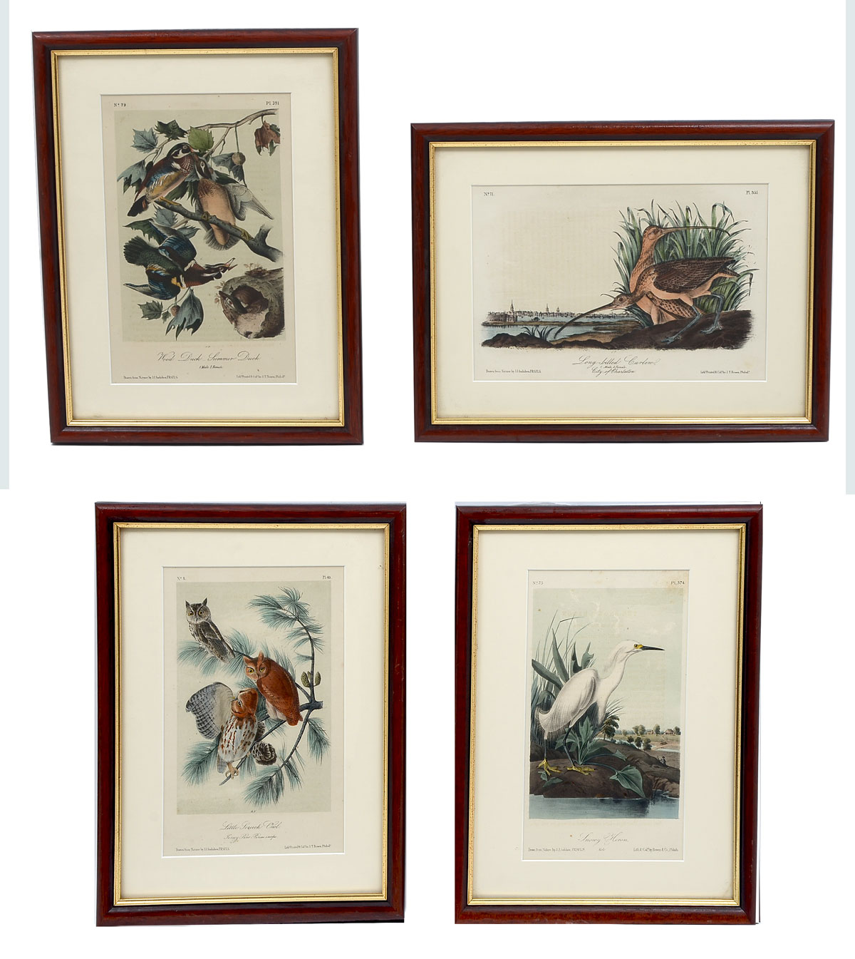 Appraisal: FOUR AUDUBON OCTAVO LITHOGRAPHS Long Build Curlew Wood Duck Summer