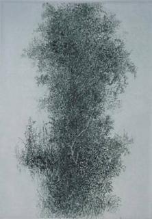 Appraisal: Gabor Peterdi etching Gabor Peterdi American - - ''Wisteria'' Johnson