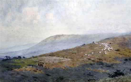 Appraisal: John Charles Dollman - watercolour Sheep on the South Downs