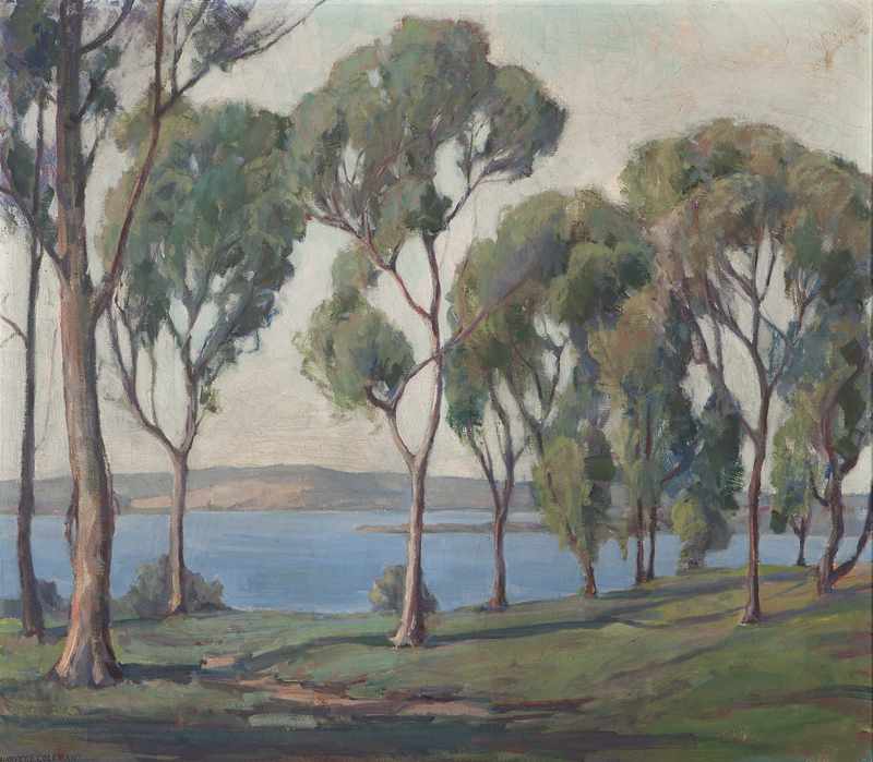 Appraisal: 'Santa Maria Palasades sic '' eucalyptus trees along the coast