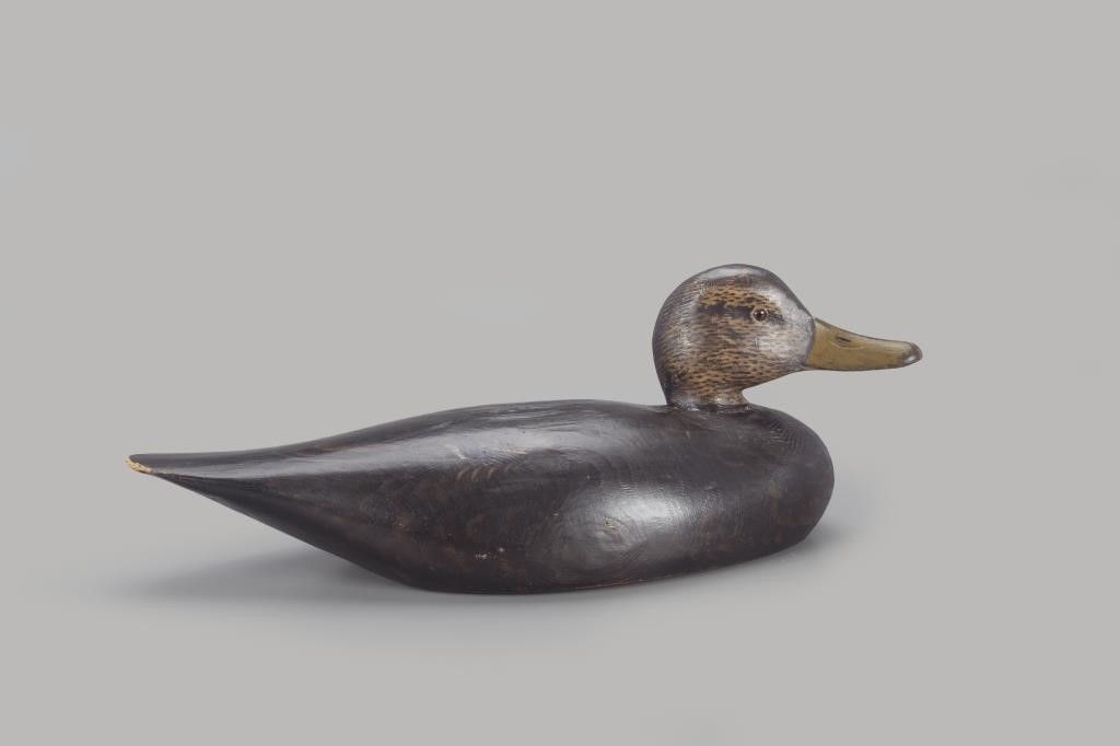 Appraisal: BLACK DUCK A Elmer Crowell - East Harwich MA c