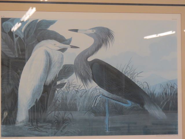 Appraisal: J J Audubon Print Purple Heron image area X nicely