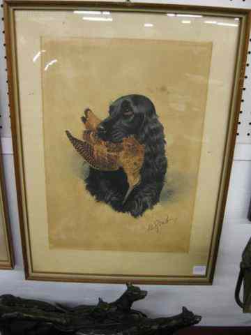 Appraisal: B Riab Print of Dog with Gamebird '' x ''