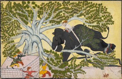 Appraisal: Indian painting elephant fight india th century or later Sight