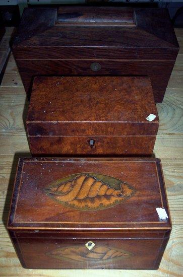 Appraisal: A th Century rosewood tea caddy of sarcophagus form fitted