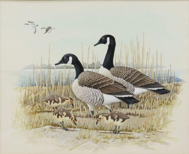 Appraisal: Framed watercolor and gouache painting on paper Canada Geese signed