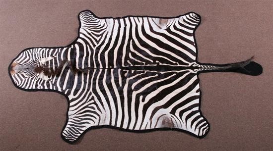 Appraisal: ZEBRA SKIN Mounted on felt - App ft x ft