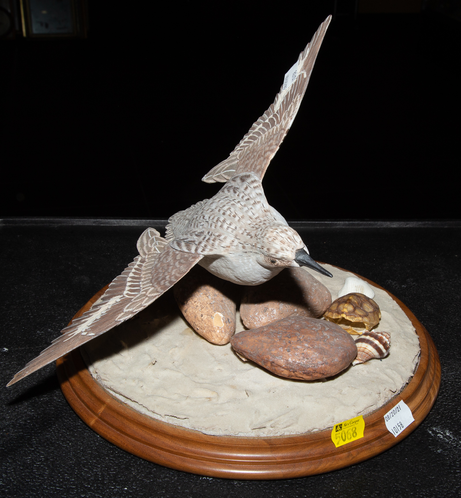 Appraisal: G WILLIAMS CARVED SHORE BIRD DIORAMA Late th century signed