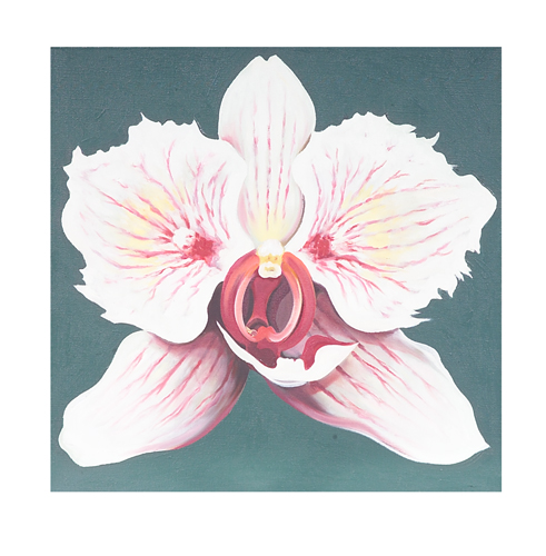 Appraisal: Lowell Nesbitt White Orchid oil on linen titled dated and