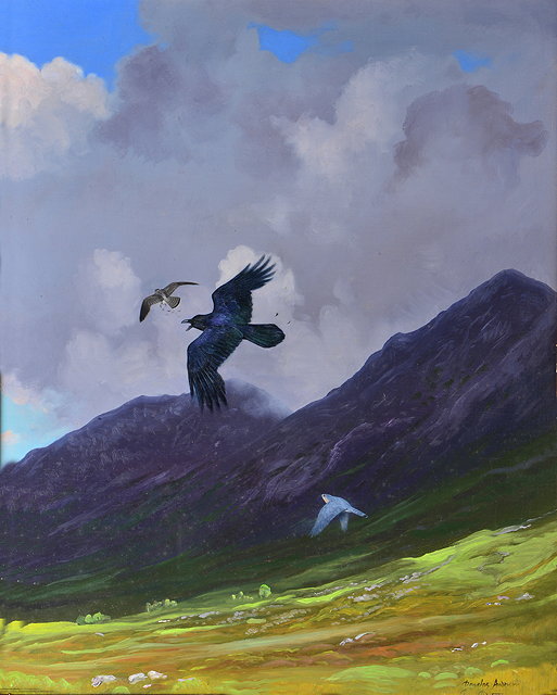 Appraisal: DOUGLAS ANDERSON b A crow chasing two kestrels in a