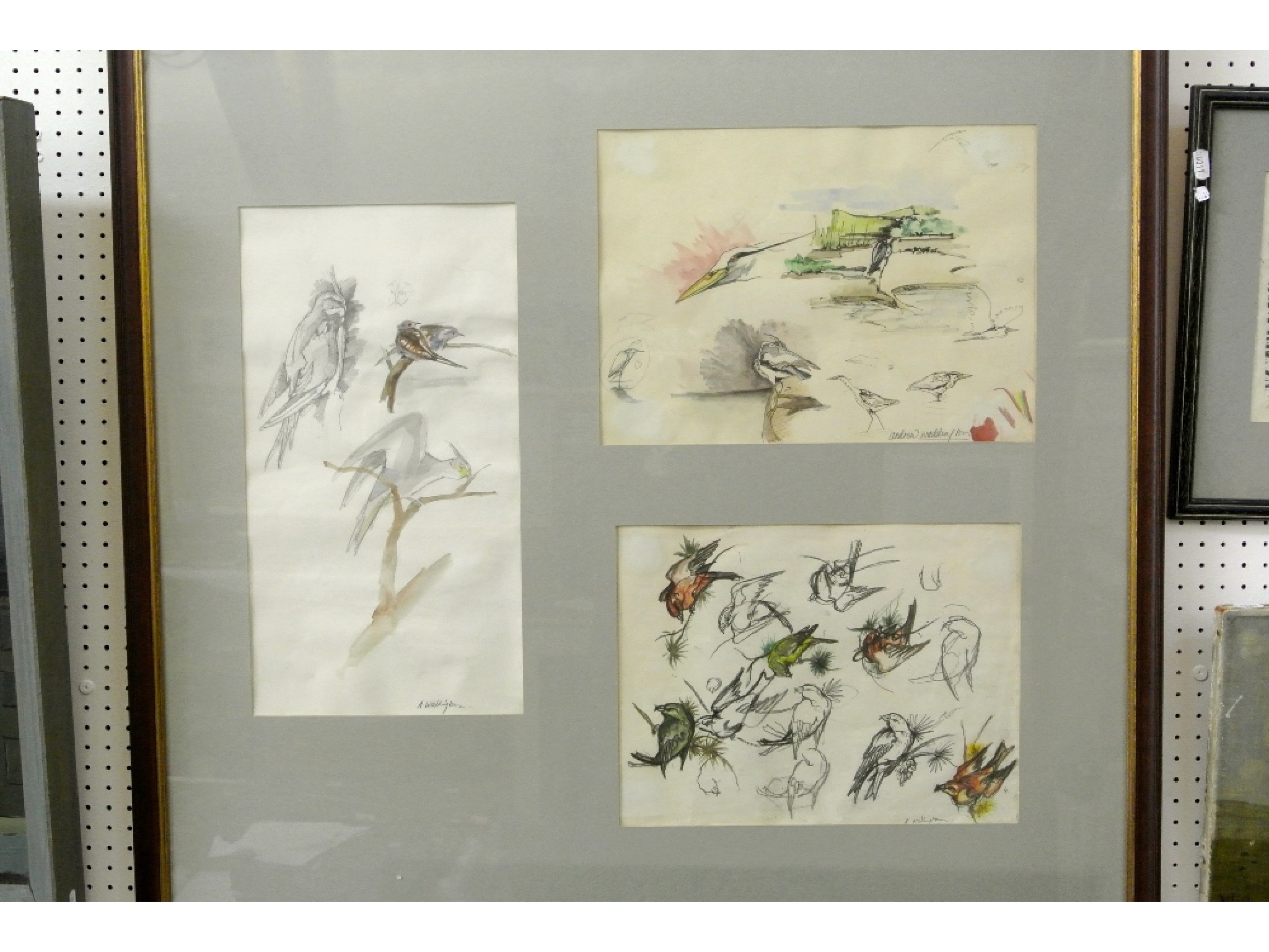 Appraisal: A framed collection of three sheets of pencil ink charcoal