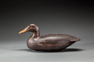 Appraisal: Black Duck Bradford Salmons - Staffordville NJc A hollow decoy