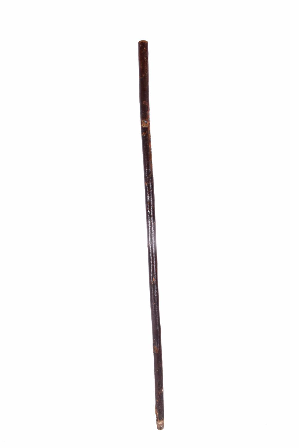 Appraisal: NORTHWEST COAST NATIVE AMERICAN BIRCH WALKING STICKMid th Century Carved