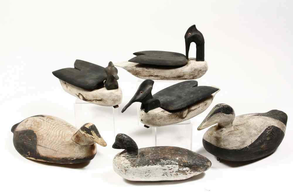 Appraisal: EIDER DUCK DECOYS - All are working decoys late th-early