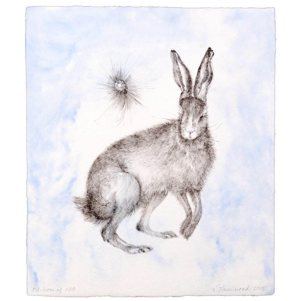 Appraisal: VALERIE HAMMOND AMERICAN B HARE LITHOGRAPH pencil signed and dated