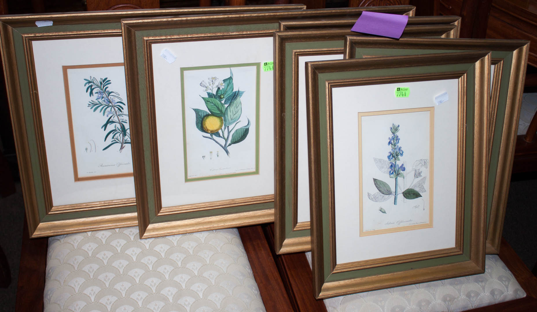 Appraisal: Six framed botanical prints