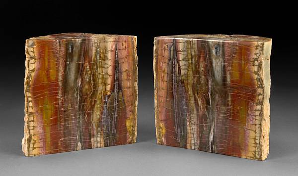 Appraisal: Pair of Petrified Wood Bookends Madagascar An unusual pair due