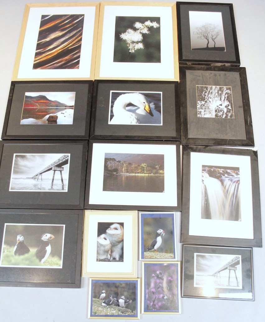 Appraisal: Dorcas Etach Swan puffins bridge flowers etc screen prints photographs