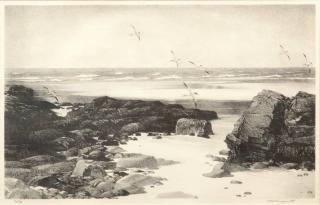 Appraisal: Stow Wengenroth Seaside Terns c signed Stow Wengenroth lower rightetching